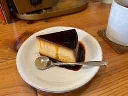 トラノコ