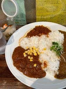 サイのツノ