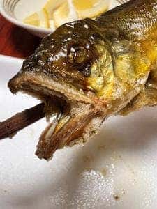 角上魚類 日野店