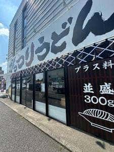 がっつりうどん