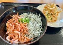 大井川港漁協直営食堂さくら