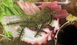 すぎやん
