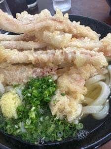 手打ちうどん ちえ福