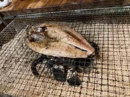 囲炉裏酒場 北ご馳