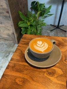 BECAUSE COFFEE BREWERS