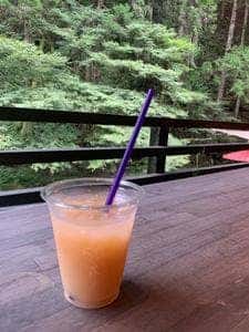 古今 藤や