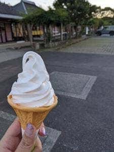清川ふるさと物産館 夢市場 道の駅きよかわ
