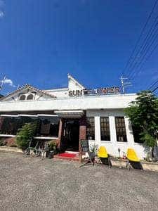 サンフラワー