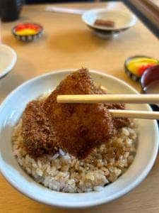 志多美屋相生支店