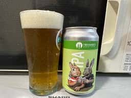 TWO RABBITS BREWINGCOMPANY タップルーム