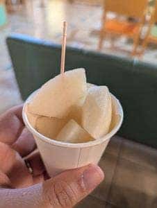 鳥取二十世紀梨記念館 なしっこ館