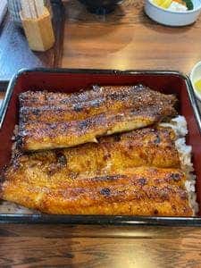 うなてん