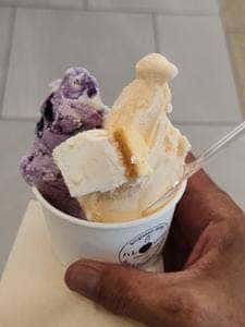 Premium Gelato ハレTerrace 豊洲店