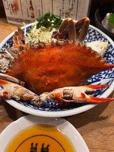 安楽子