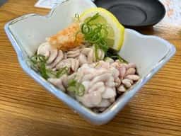 サカトケ乃カミ