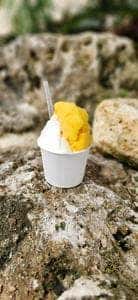 石垣島ミルミル本舗 石垣空港店