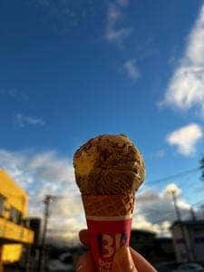 サーティワンアイスクリーム アル・プラザ鯖江店