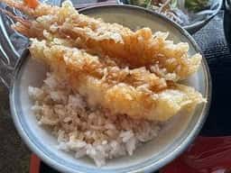 内子町役場 五十崎凧博物館山茶花