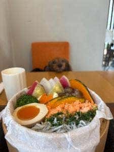 トトのエ