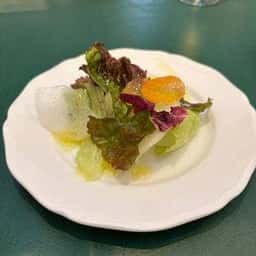 Zucca