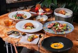 ONO HAKATA -Octo Natura Kyusyu-