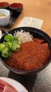 天然温泉 富山 剱の湯 御宿 野乃