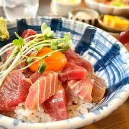 食彩 九