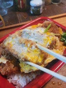松のや / マイカリー食堂 橋本店