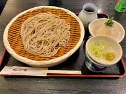 松の木