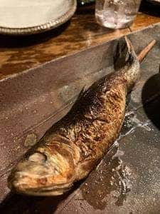 居酒屋 ちょーちょ