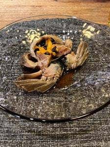 極彩 椿