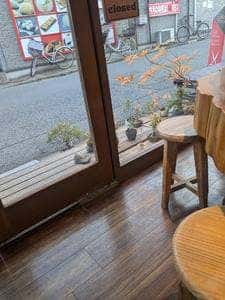 しつらいの木 朋