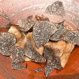 鳥茂