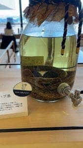 キタナカガーデン EMウェルネス 暮らしの発酵ライフ スタイルリゾート