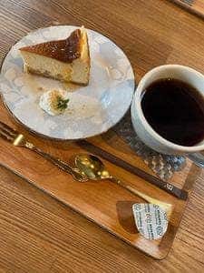キッチン椎の実