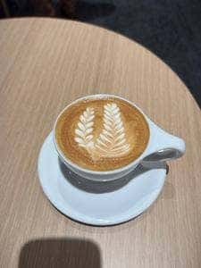 FENDER CAFE