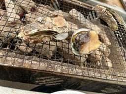 牡蠣小屋 住吉丸