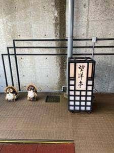 望洋亭