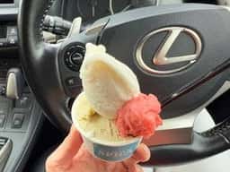 Gelateria SPICA