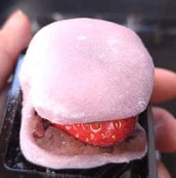 秩父庵 玉木家