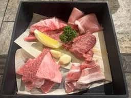 シーアイガ海月