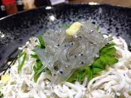 しらす問屋 ヨシマル