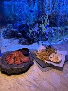 上野 アクアリウムレストラン Nautilus