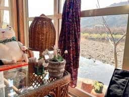 いこら茶屋