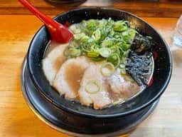 無鉄砲がむしゃら