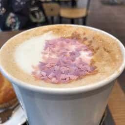 スターバックス コーヒー イオンモール川口前川店