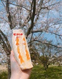キッチンポテト