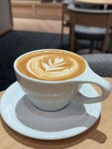 FENDER CAFE