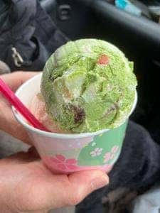 サーティワンアイスクリーム アピタ松任店