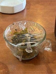 千鶴屋